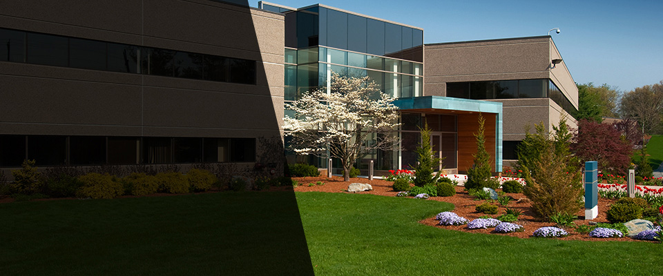 Gansevoort Landscapers